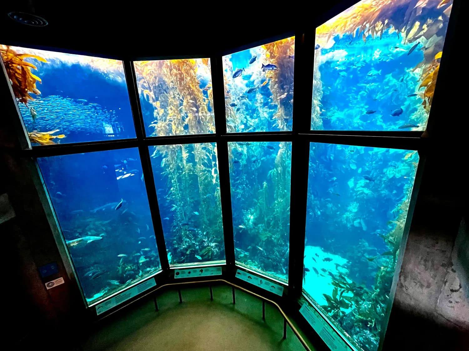 别府温泉周边游：海之卵水族馆与津久见海豚岛全攻略