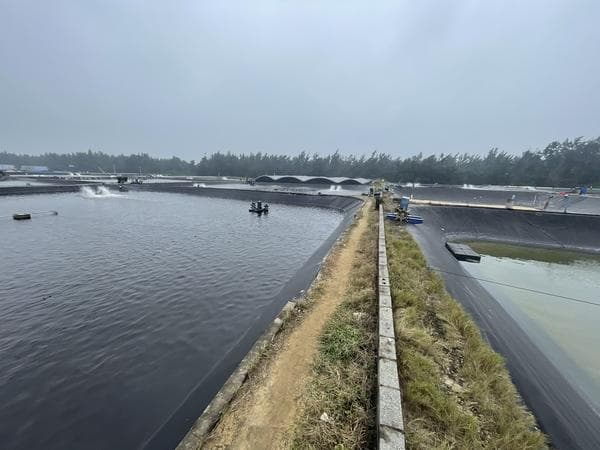 万宁市一村民小组300亩集体用地出租后收回难？ 当地政府部门介入调查处理