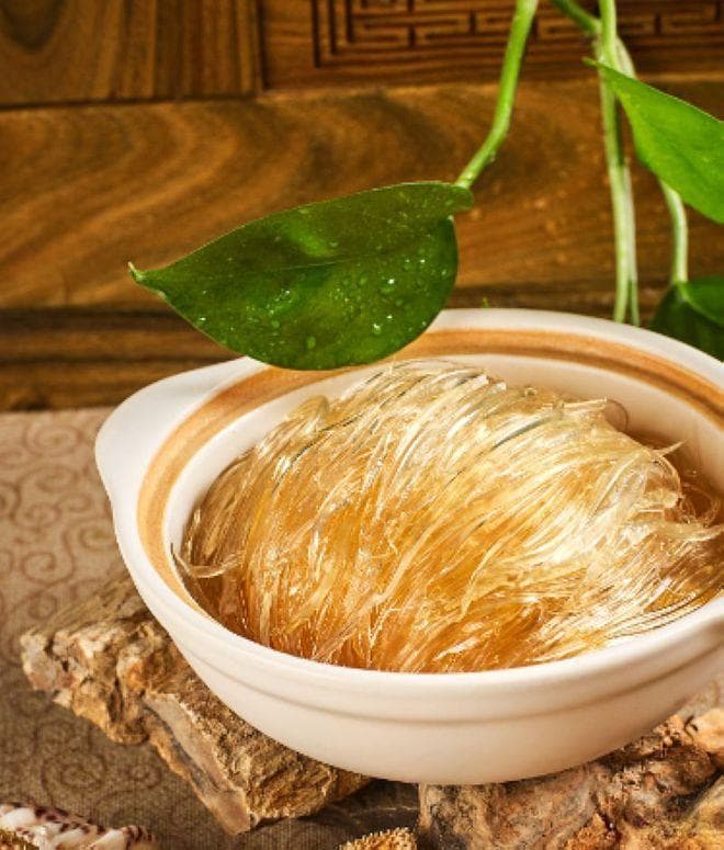 鱼翅是什么鱼身上的？从食材到生态的全面解读