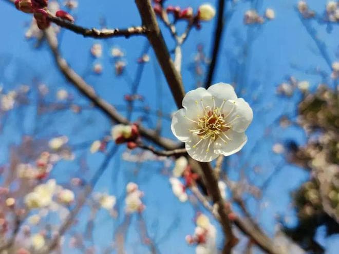 霍去病的启示：如何在不确定性时代塑造卓越领导力？
