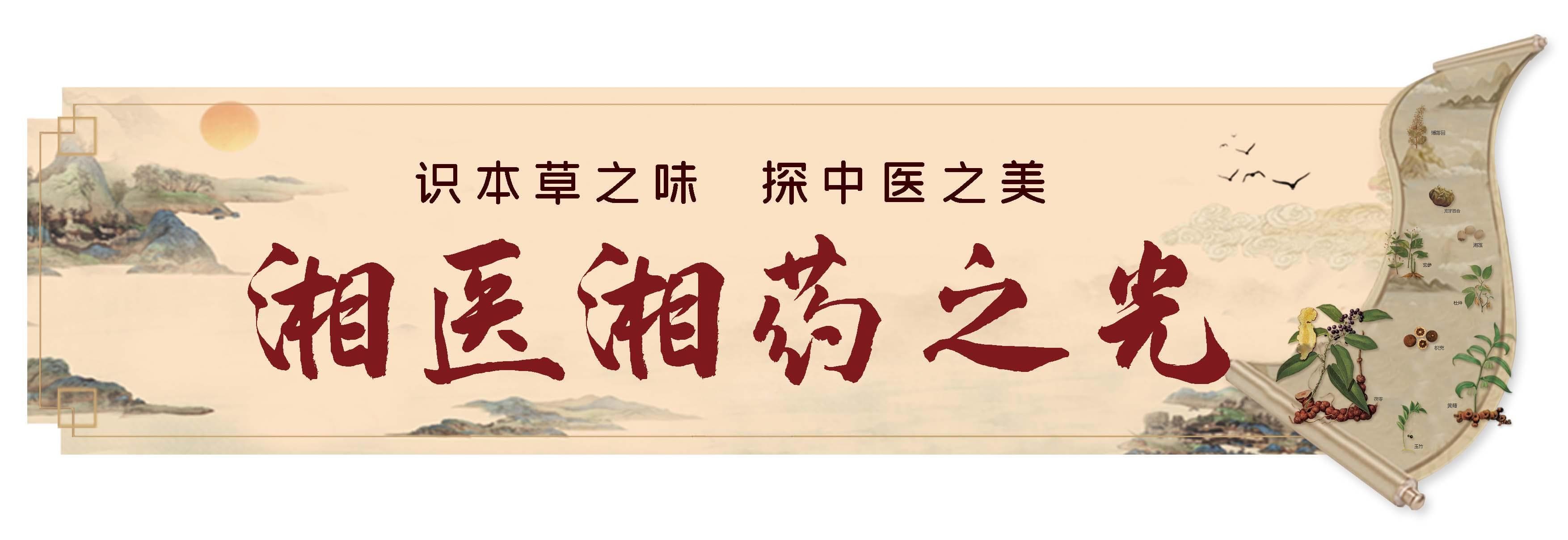 湖湘中医文化的智慧经典，马王堆导引术：宝藏养生功的新精彩