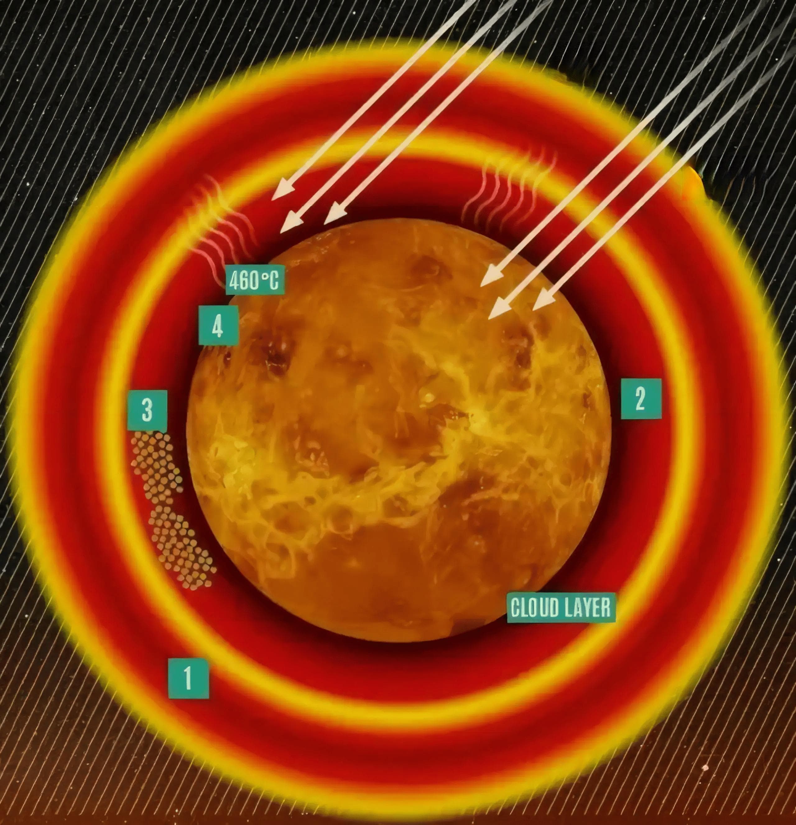 金星上的硅基生命：科幻还是现实？