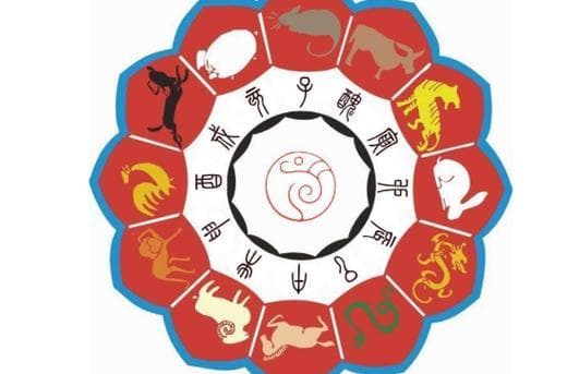 十二生肖中的阴阳属性：从脚趾数到五行理论的解读