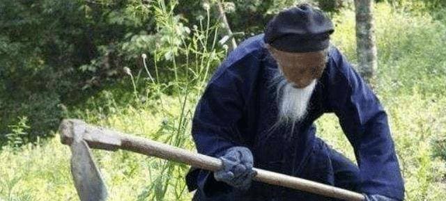 “陆地神仙”张至顺：隐居终南山长达70年，104岁羽化登仙
