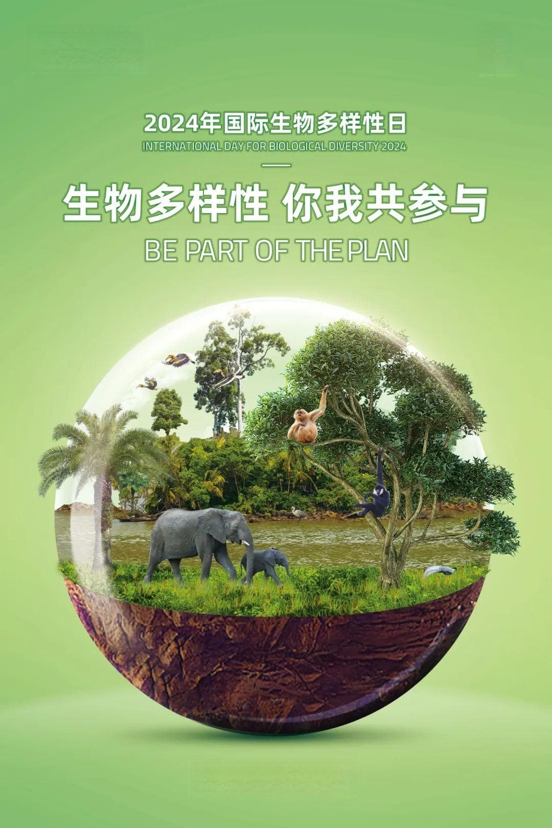 福建“神奇动物”知多少？一起来守护生物多样性！