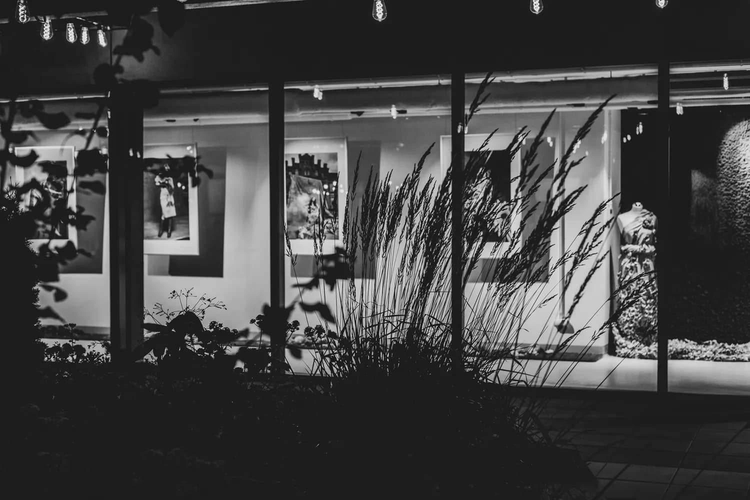 荒木经惟“花幽”展览：镜头下的生死与欲望