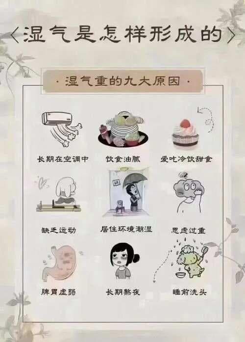湿证辩证：主要从以下这些方面入手