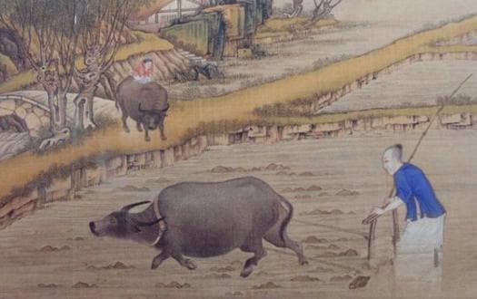 “富贵之人两腿毛，贫贱之人毛两腿”：一句俗语里的历史智慧