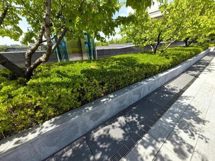 私家庭院景观设计应用和选材要求