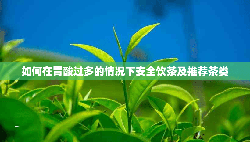 胃酸过多也能喝茶？这份安全饮茶指南请收好