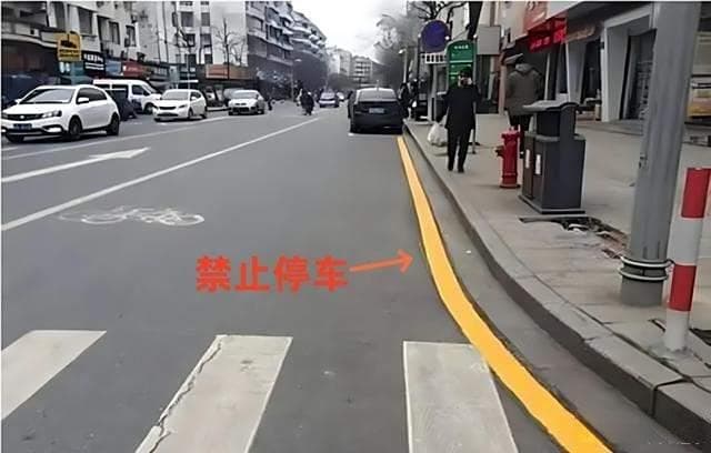 马路上“单黄线”和“双黄线”有什么区别？车主：现在知道还不晚