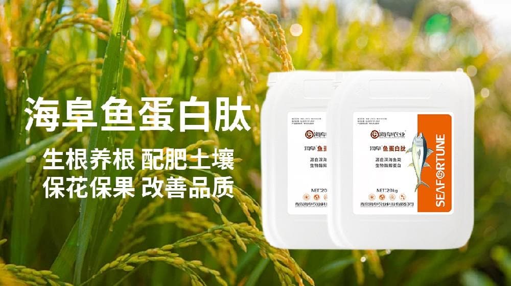 鱼蛋白水溶肥的制作方法与应用技巧