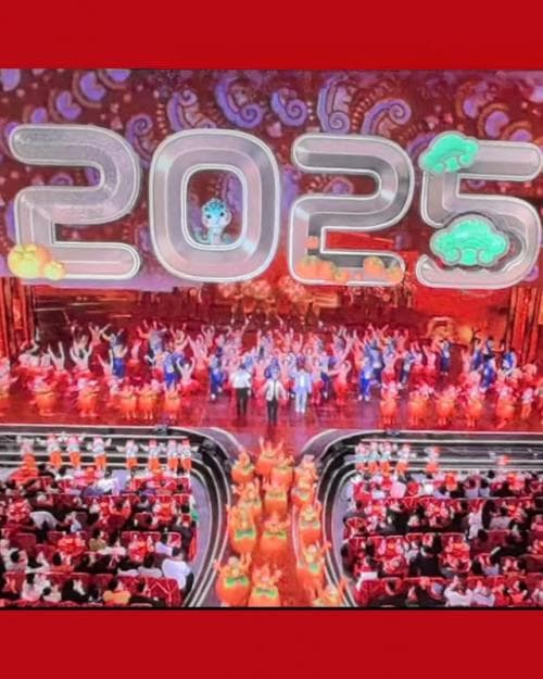 评 2025 春晚：辉煌难续之憾与破局重振之思