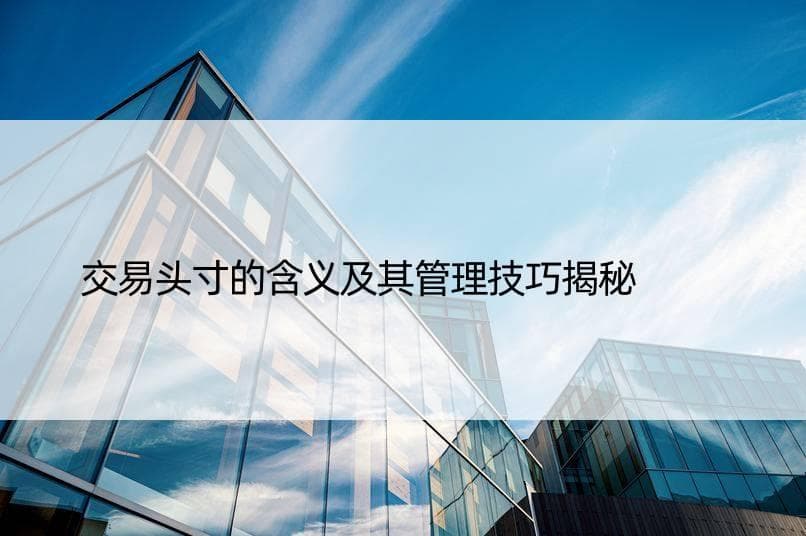 交易头寸的含义及其管理技巧揭秘