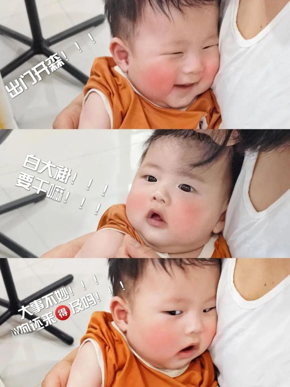 “副脾”，脾的“备胎”？