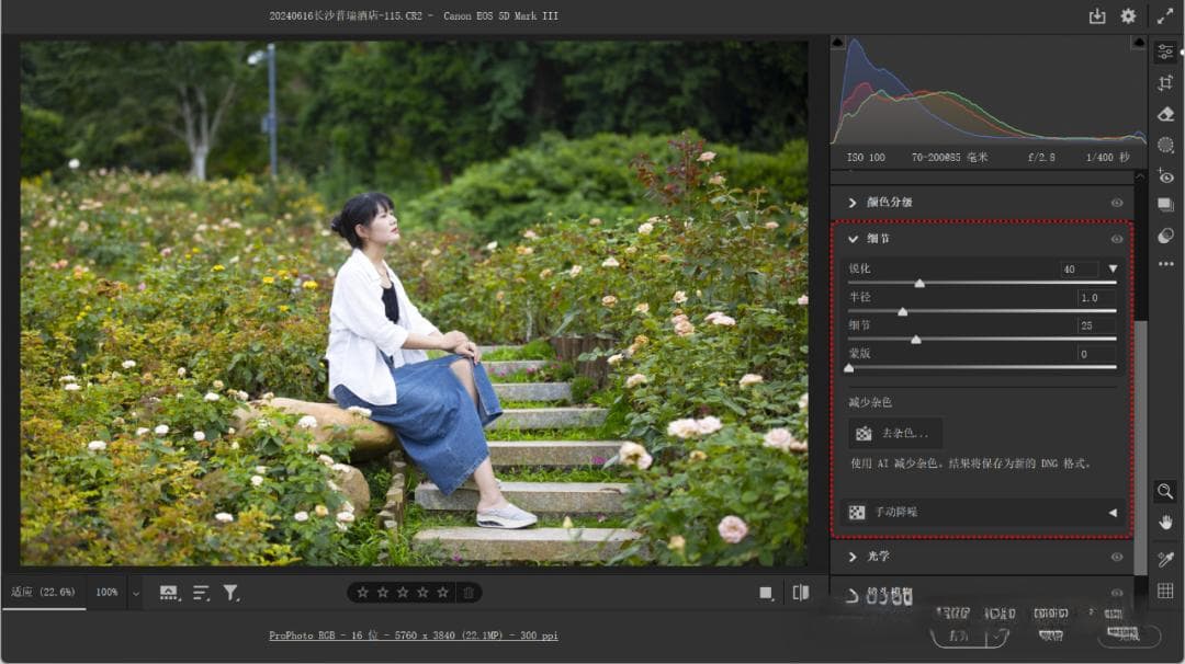Camera Raw：编辑 - 细节