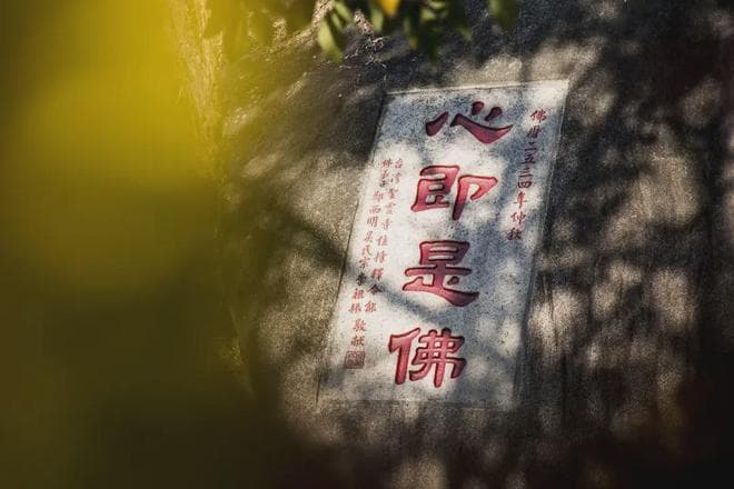 积阴德可助你改变命运，信仰的重要性引发关注。
