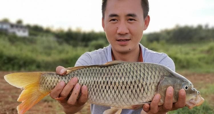 中国传统钓法钓鱼技巧剖析（发掘传统智慧）