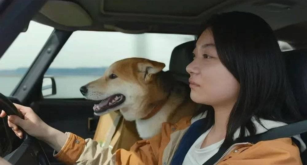 防御性倾听，破坏人际关系的大杀手？