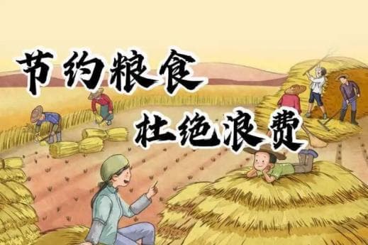 节能减排，从我做起：节约粮食、用水、用电和用纸