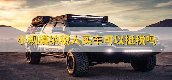 小规模纳税人买车可以抵税吗？
