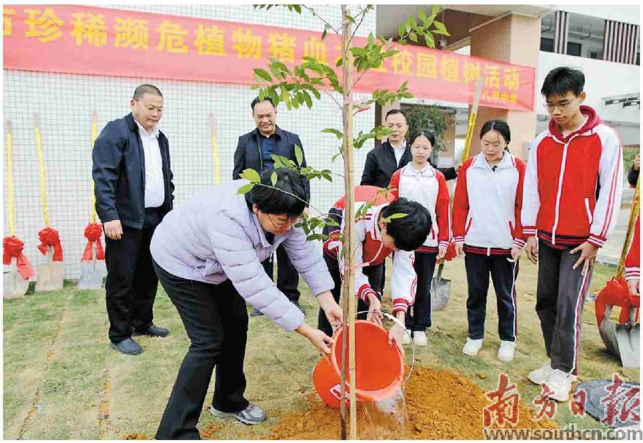 推动猪血木保护进校园