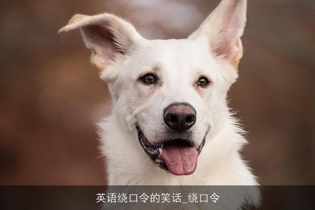 英语绕口令的笑话：绕口令里的幽默与智慧