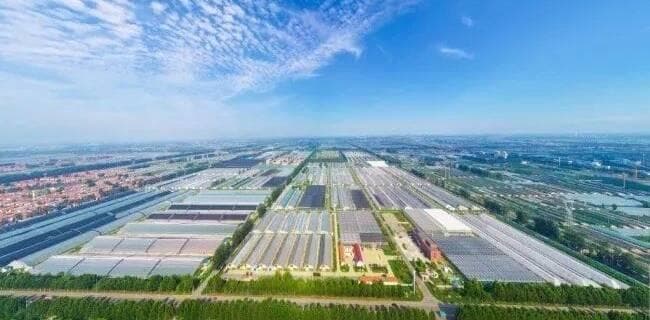山东文旅产业：从9000亿到万亿级跨越