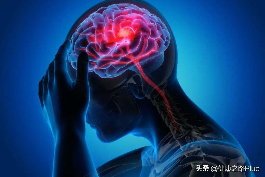 谷维素，有7大功效，老年人最该补充