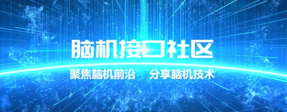 大脑植入的下一个前沿领域是人工视觉