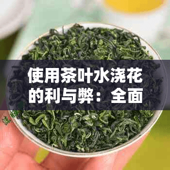 使用茶叶水浇花的利与弊：全面解析及其正确使用方法