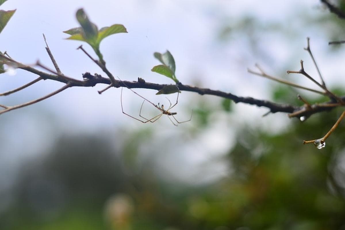 紫微斗数的深度解析：了解其意义与应用