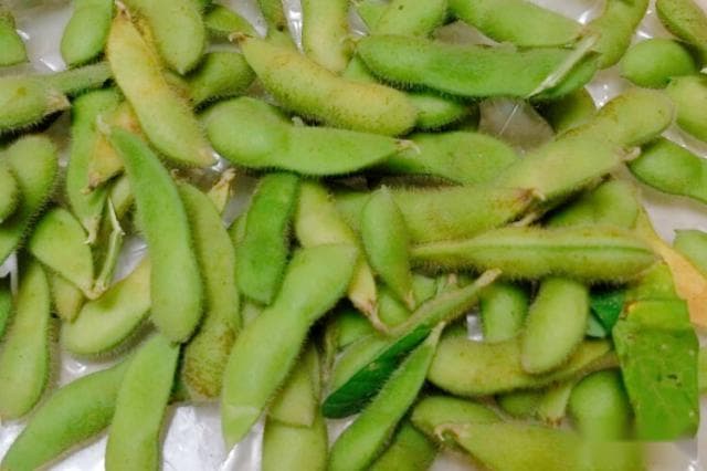 毛豆炒之前需要焯水吗