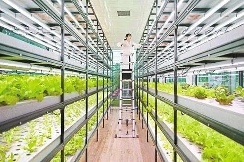 科技创新显身手 描绘春耕好图景——石家庄市积极探求科技对农业生产的支撑作用