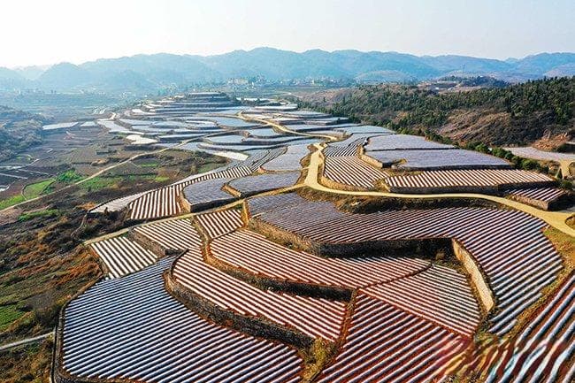 改革再深化 奋进新征程丨气象科技小院赋能乡村振兴