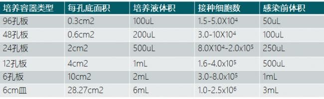 慢病毒转染的实验操作、注意事项以及常见问题