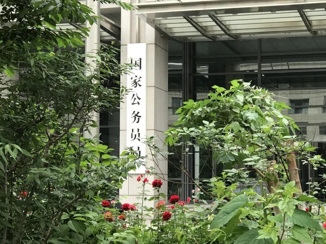高薪聘任制公务员，这是在招什么样人才？