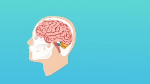 脑供血不足能做有氧运动吗？医生这样说