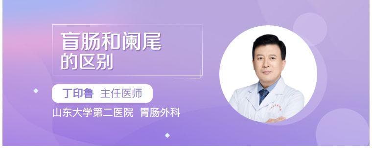 盲肠和阑尾的区别