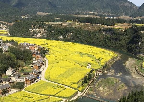 凤冈新建镇：“党建+旅游+农业”绘就乡村振兴新画卷