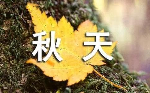 八首描写秋天的五言绝句古诗