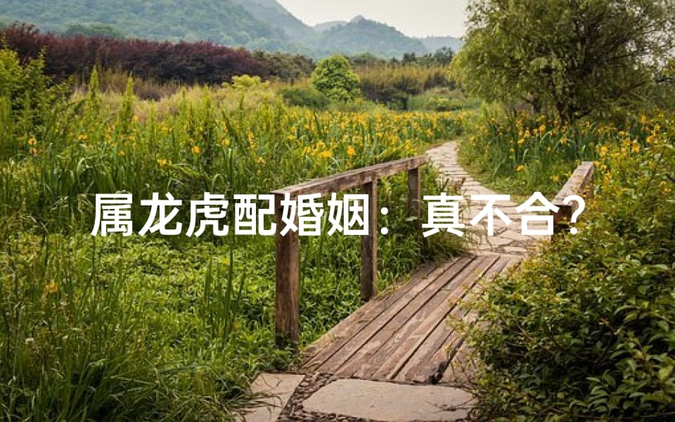 属龙虎配婚姻：真不合？揭秘生肖相冲之谜