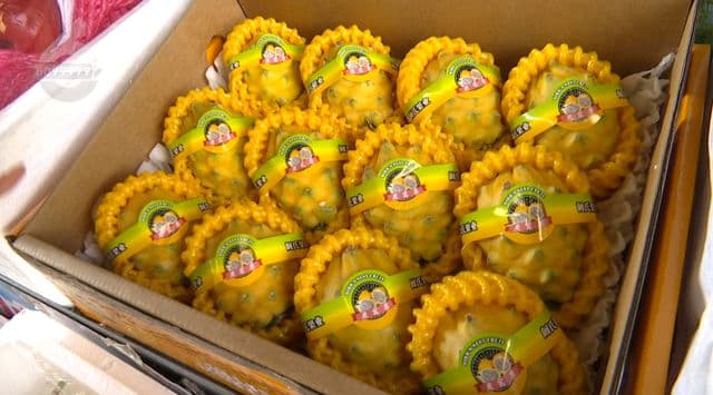 云南水果有多好？连“炫”365天都不重样！