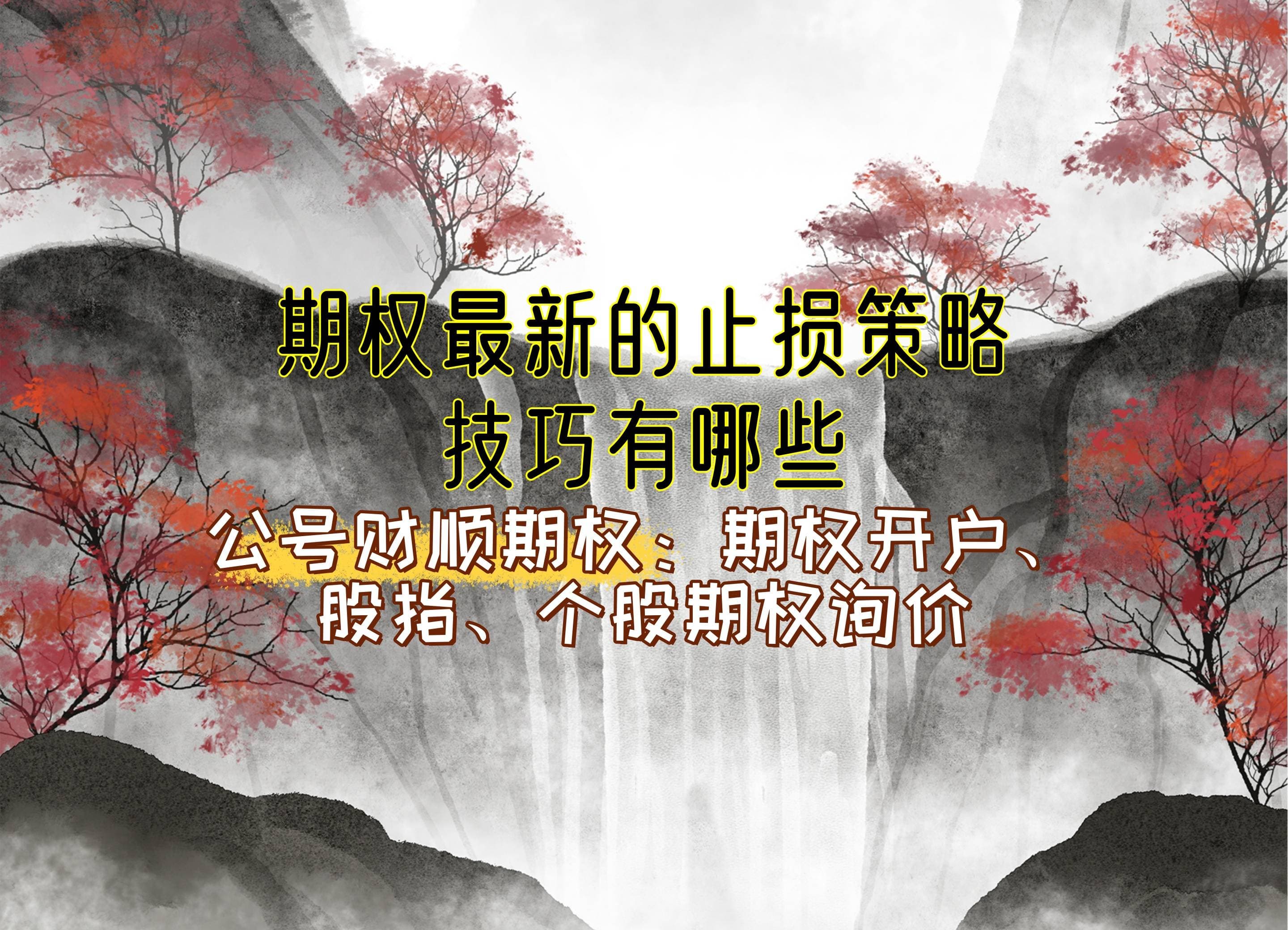 期权交易中的止损策略全解析