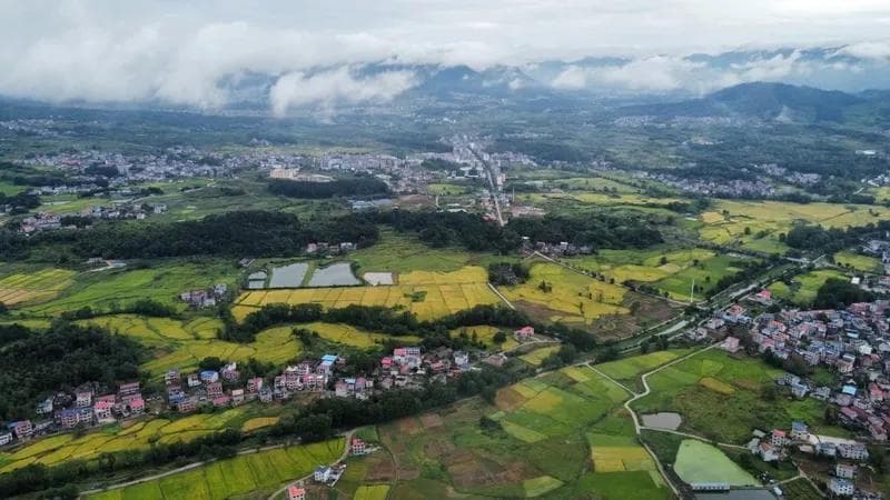 国有土地房屋和集体土地房屋的区别及土地使用申请程序解析