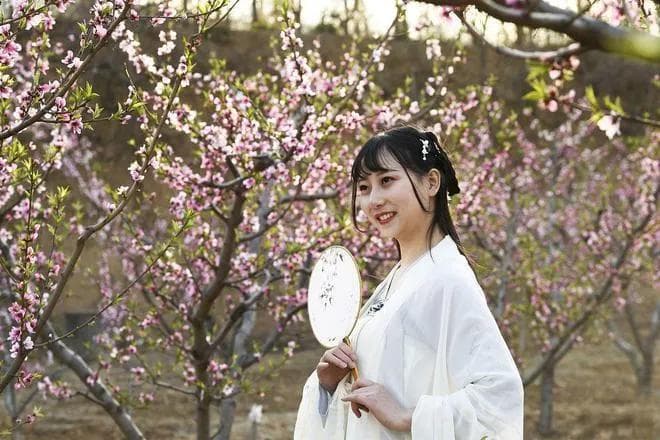 让诗词成为情感的最好表达方式，如何发挥文字魅力？4首七绝演示