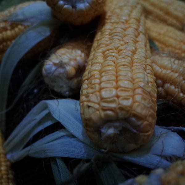 生粉是玉米淀粉还是土豆淀粉？一文详解生粉的奥秘