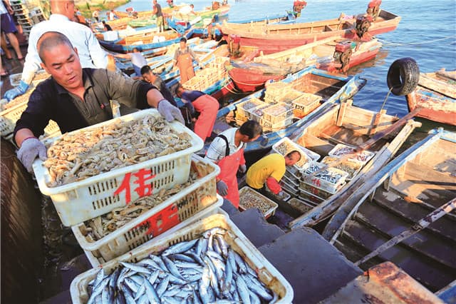 走遍四海，鲜在威海 | 说不尽的威海海鲜