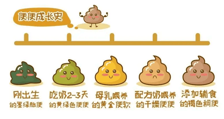 宝宝便便图谱大全：从颜色到性状，一文读懂宝宝健康信号