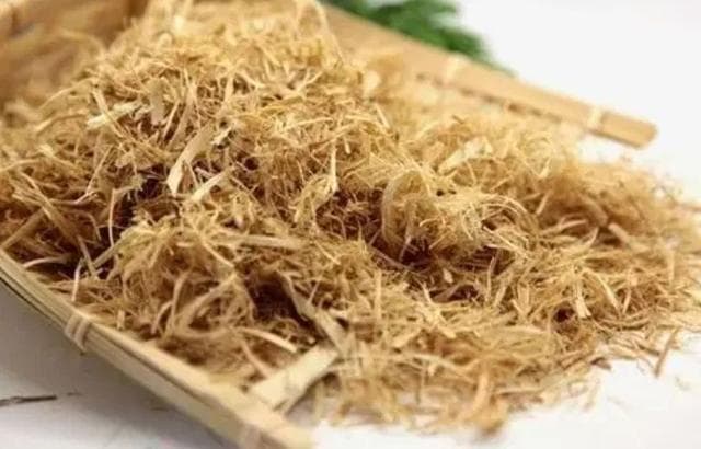 “藏”在竹林中的中药